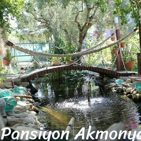 Akmonya Pansiyon Eriklice المظهر الخارجي الصورة